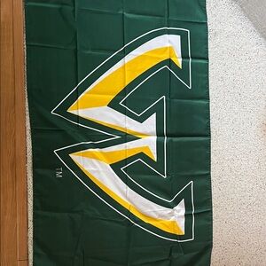 Wayne State Warriors Green and Yellow Team Spirit Flag